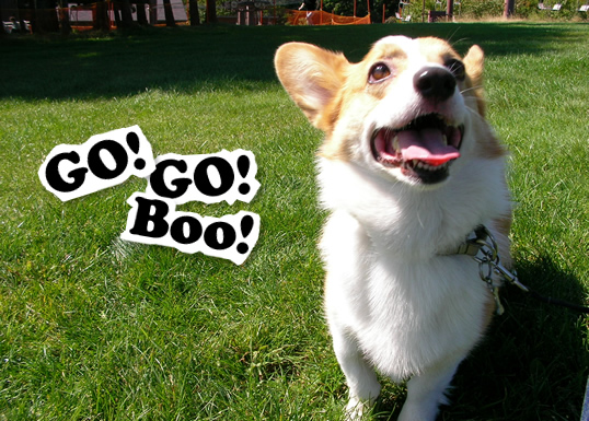 GO! GO! Boo!