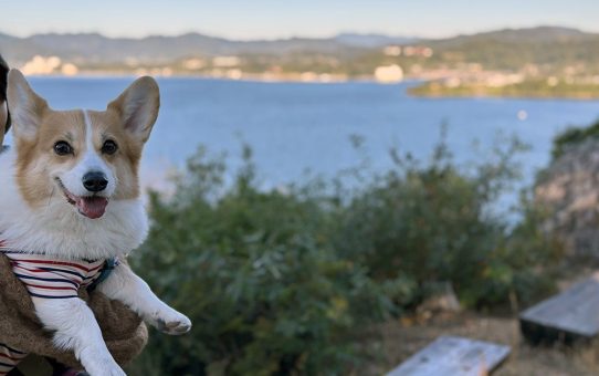 浜名湖～三河旅行