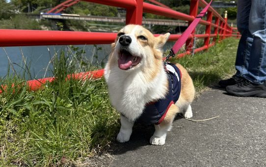 那須旅行