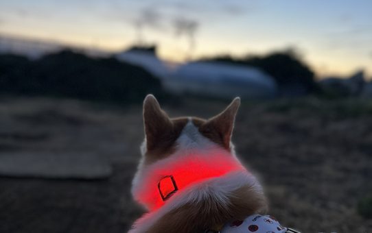 涼しい夕方